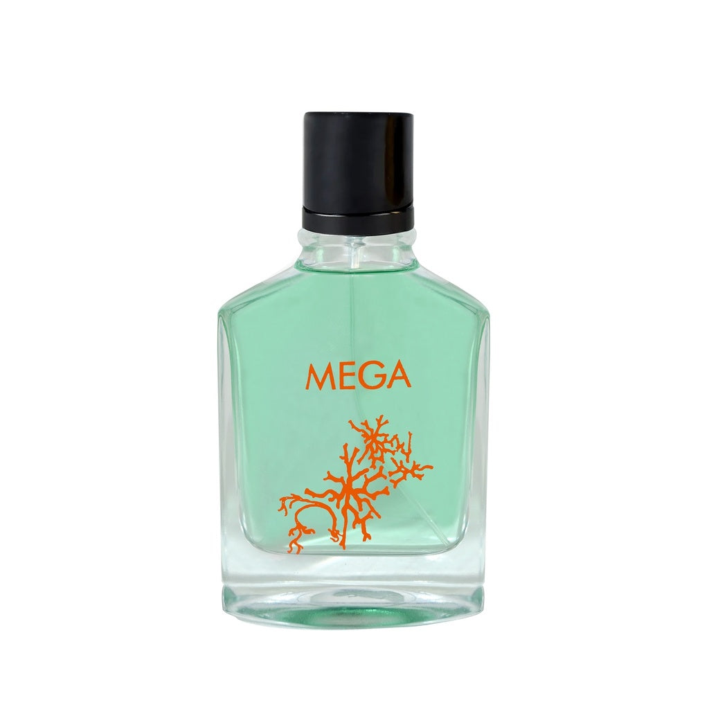 Mega Collection Perfume MEGA Perfume 100 ML - CLASSIC COLLECTION By Maison Amara – DarBelal ...