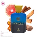 AQUEOUS POUR HOMME Perfume  100 ML - Eiffel Tower