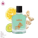 MEGA Perfume  100 ML - Maison Amara