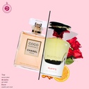 بيلا روج عطر  100 مل - جولدن كولكشن من ريفز